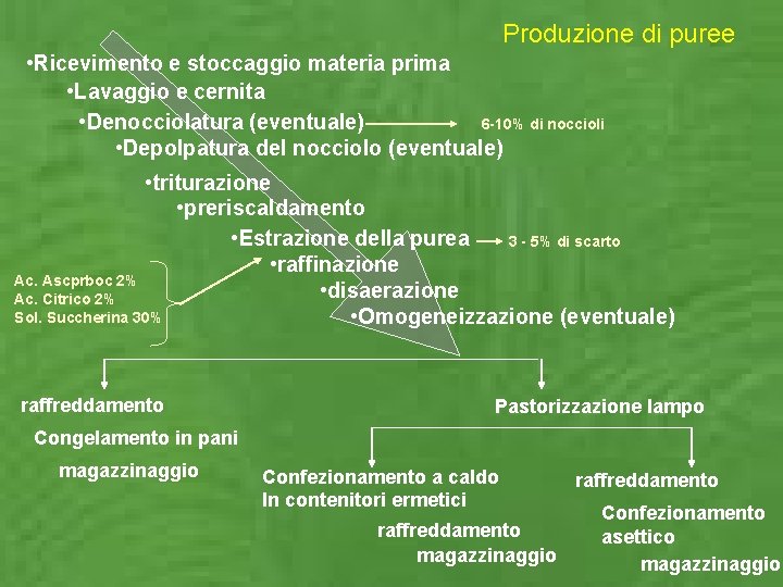 Produzione di puree • Ricevimento e stoccaggio materia prima • Lavaggio e cernita •