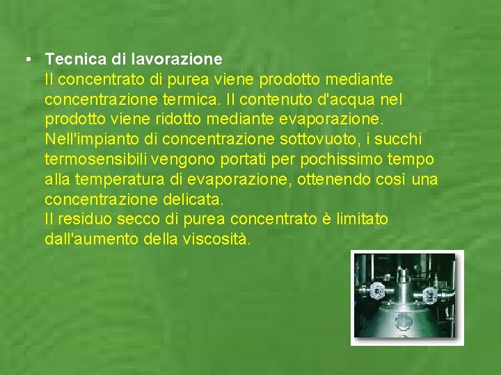 • Tecnica di lavorazione Il concentrato di purea viene prodotto mediante concentrazione termica. • Tecnica di lavorazione Il concentrato di purea viene prodotto mediante concentrazione termica.