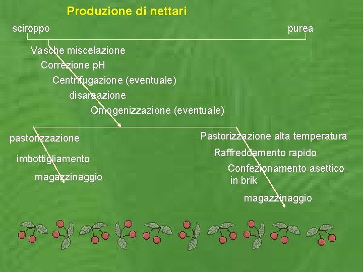 Produzione di nettari sciroppo purea Vasche miscelazione Correzione p. H Centrifugazione (eventuale) disareazione Omogenizzazione