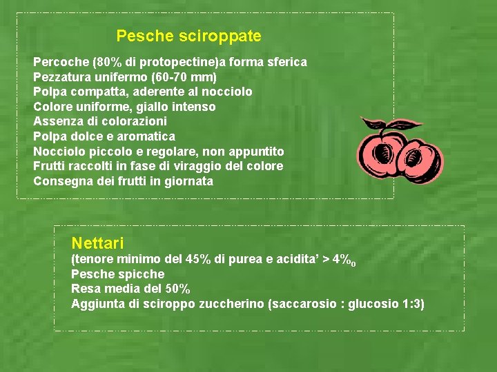 Pesche sciroppate Percoche (80% di protopectine)a forma sferica Pezzatura unifermo (60 -70 mm) Polpa