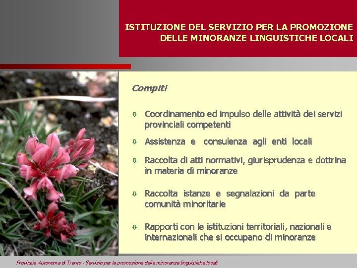 ISTITUZIONE DEL SERVIZIO PER LA PROMOZIONE DELLE MINORANZE LINGUISTICHE LOCALI Compiti ò Coordinamento ed