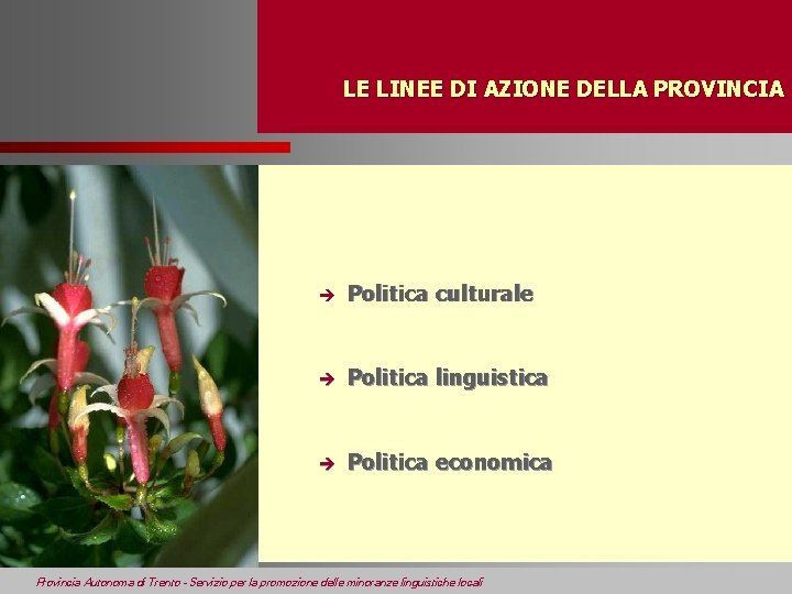 LE LINEE DI AZIONE DELLA PROVINCIA è Politica culturale è Politica linguistica è Politica