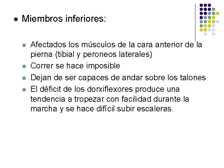 l Miembros inferiores: l l Afectados los músculos de la cara anterior de la