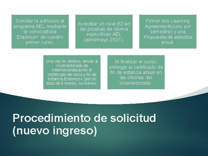 Solicitar la admisión al programa AEL mediante la convocatoria Erasmus+ de vuestro primer curso.
