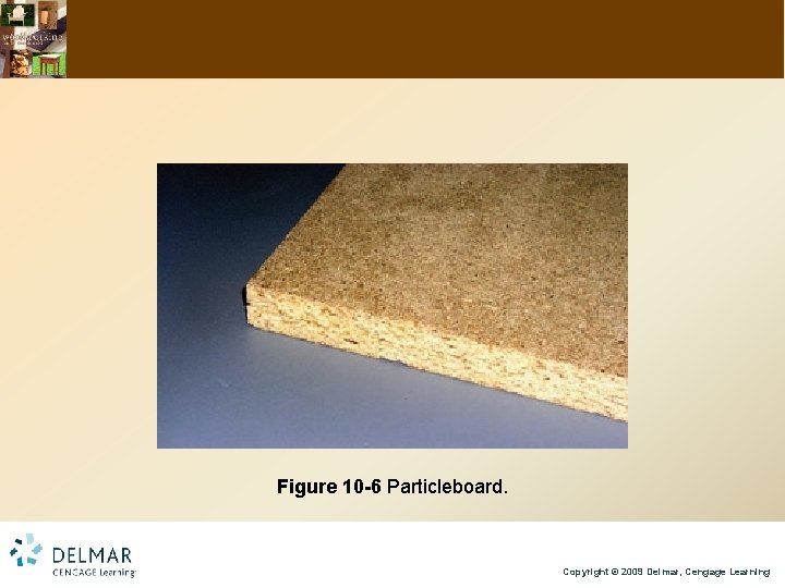 Figure 10 -6 Particleboard. Copyright © 2009 Delmar, Cengage Learning 