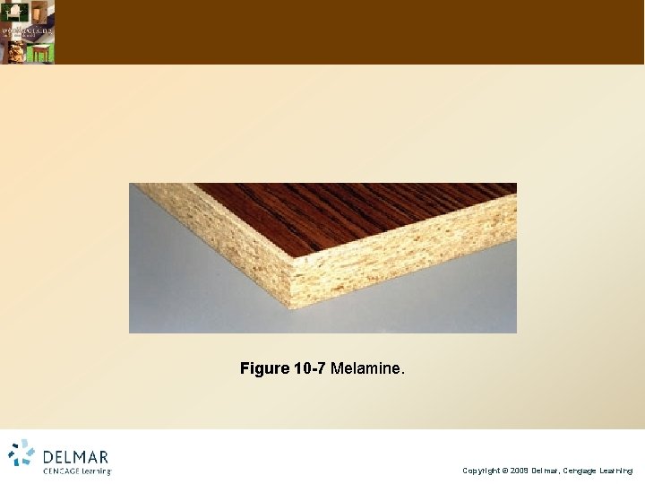 Figure 10 -7 Melamine. Copyright © 2009 Delmar, Cengage Learning 