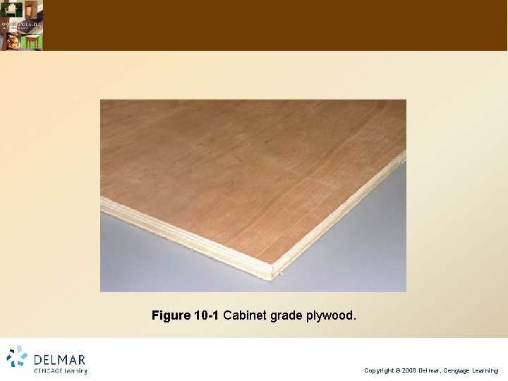 Figure 10 -1 Cabinet grade plywood. Copyright © 2009 Delmar, Cengage Learning 