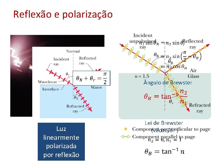 Reflexão e polarização ngulo de Brewster  Luz linearmente polarizada por reflexão Lei de