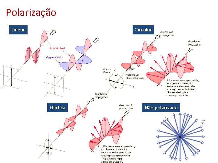 Polarização Circular Linear Eliptica Não polarizada 