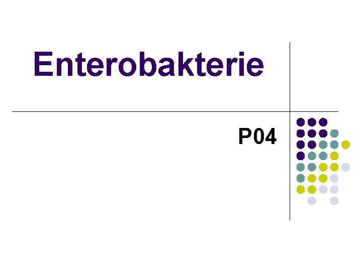 Enterobakterie P 04 