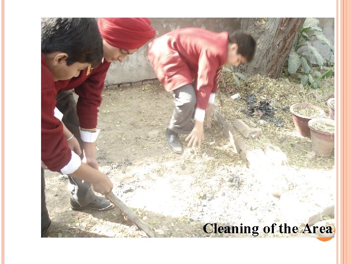 Cleaning of the Area 