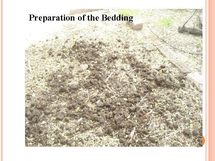 Preparation of the Bedding 