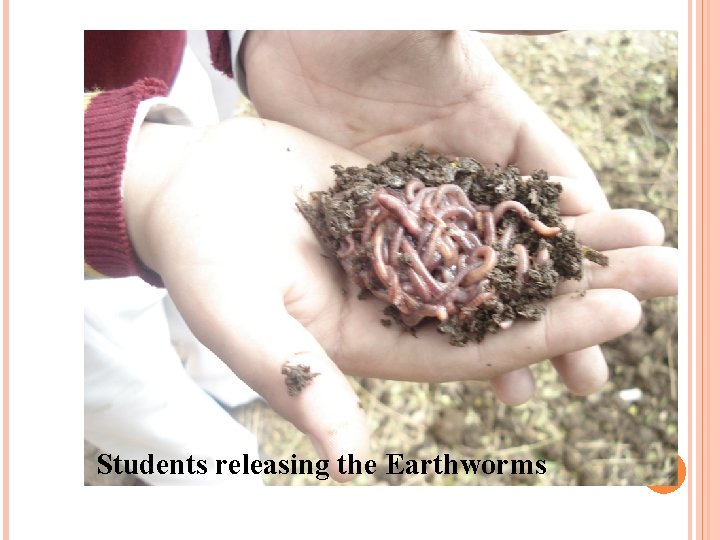 Students releasing the Earthworms 