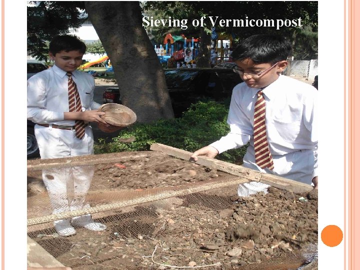 Sieving of Vermicompost 