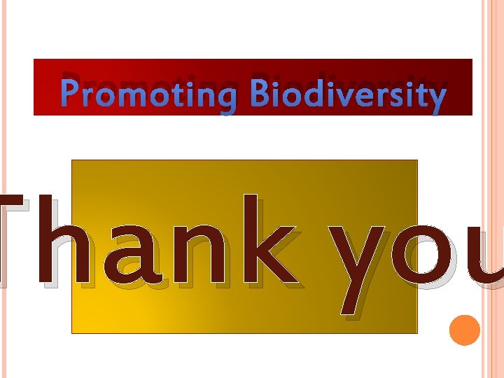Promoting Biodiversity Thank you 