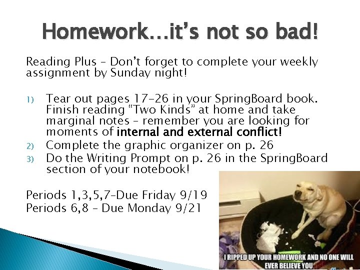 Homework…it’s not so bad! Reading Plus – Don’t forget to complete your weekly assignment