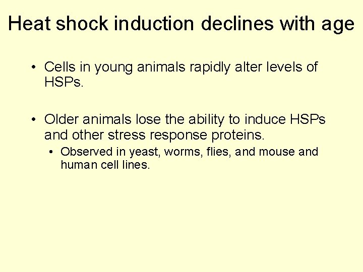 Heat shock induction declines with age • Cells in young animals rapidly alter levels