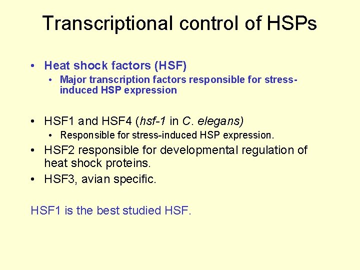 Transcriptional control of HSPs • Heat shock factors (HSF) • Major transcription factors responsible