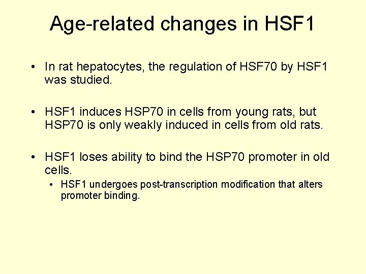 Age-related changes in HSF 1 • In rat hepatocytes, the regulation of HSF 70