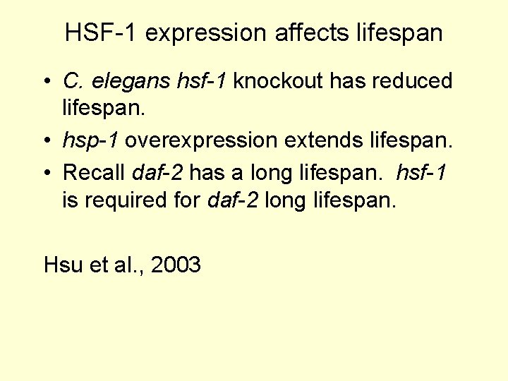HSF-1 expression affects lifespan • C. elegans hsf-1 knockout has reduced lifespan. • hsp-1