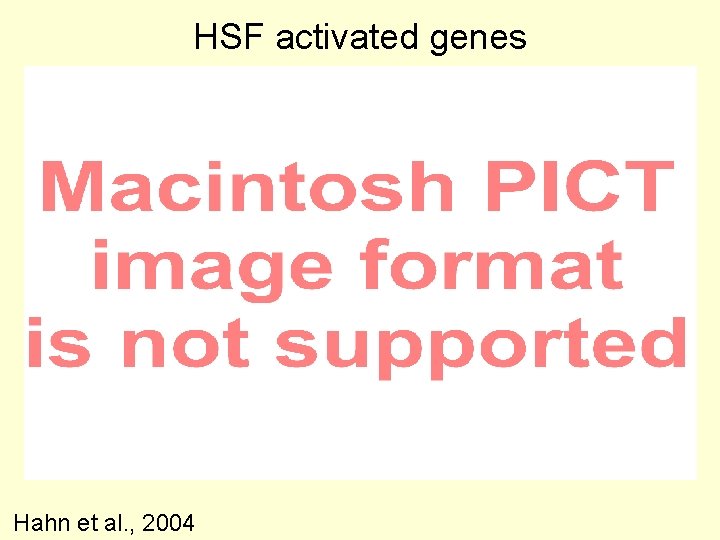 HSF activated genes Hahn et al. , 2004 