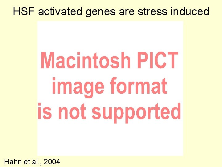 HSF activated genes are stress induced Hahn et al. , 2004 