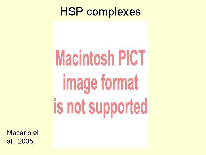 HSP complexes Macario el al. , 2005 