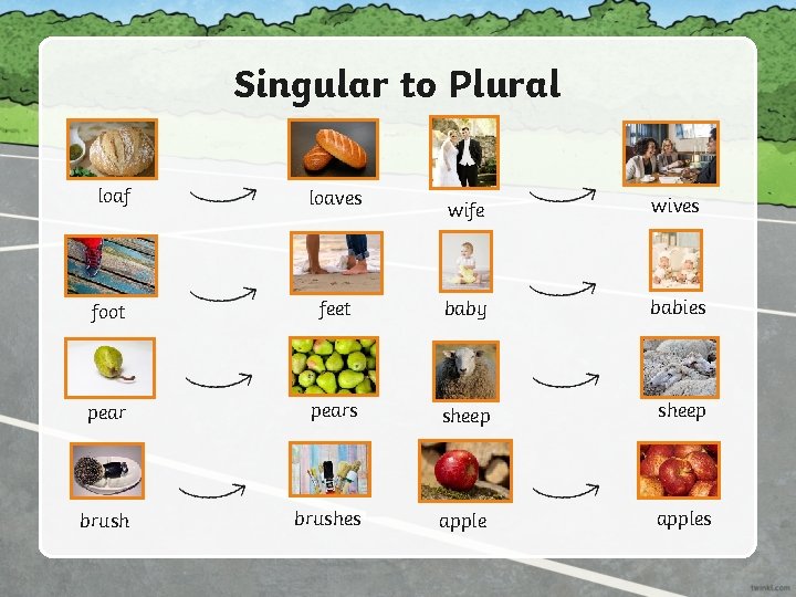 Singular to Plural loaf loaves foot wife wives feet baby babies pears sheep brushes