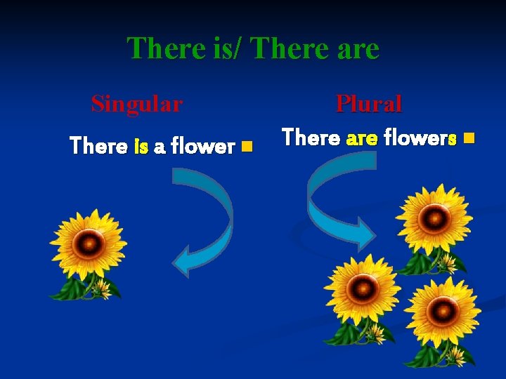 There is/ There are Singular There is a flower n Plural There are flowers
