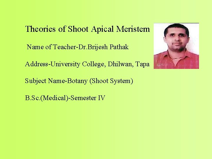  Theories of Shoot Apical Meristem Name of Teacher-Dr. Brijesh Pathak Address-University College, Dhilwan,