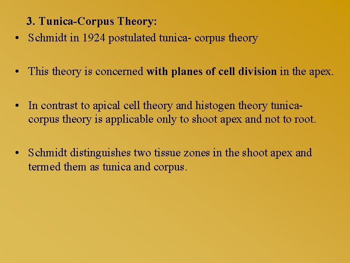  3. Tunica-Corpus Theory: • Schmidt in 1924 postulated tunica- corpus theory • This