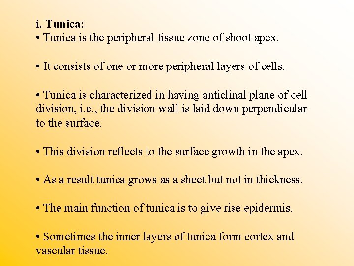 i. Tunica: • Tunica is the peripheral tissue zone of shoot apex. • It