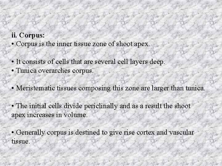 ii. Corpus: • Corpus is the inner tissue zone of shoot apex. • It