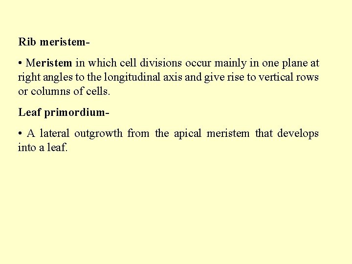 Rib meristem- • Meristem in which cell divisions occur mainly in one plane at