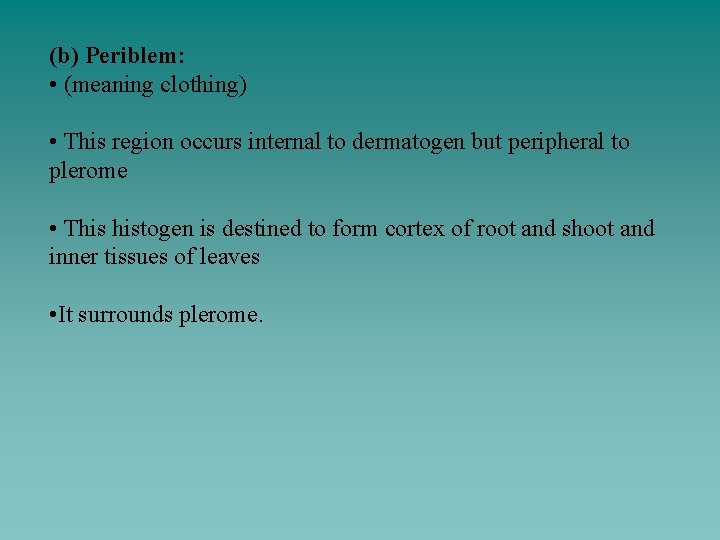 (b) Periblem: • (meaning clothing) • This region occurs internal to dermatogen but peripheral