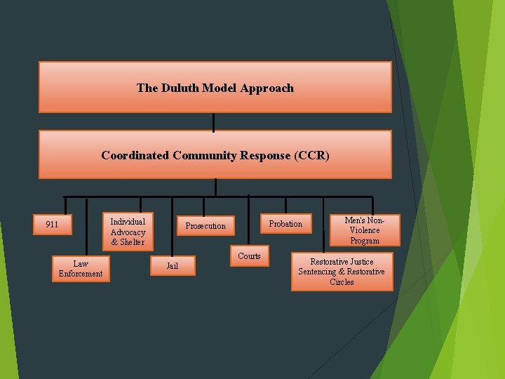 The Duluth Model Approach Coordinated Community Response (CCR) Individual Advocacy & Shelter 911 Law