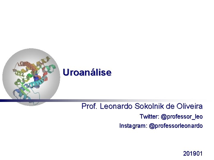 Uroanálise Prof. Leonardo Sokolnik de Oliveira Twitter: @professor_leo Instagram: @professorleonardo 201901 