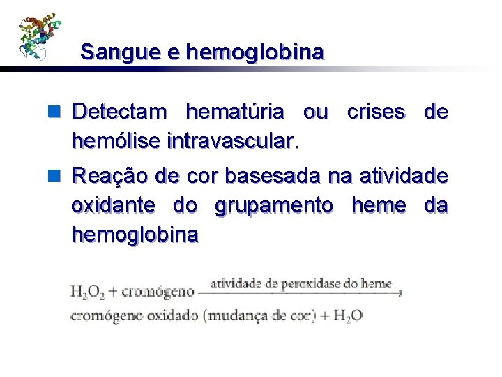 Sangue e hemoglobina n Detectam hematúria ou crises de hemólise intravascular. n Reação de