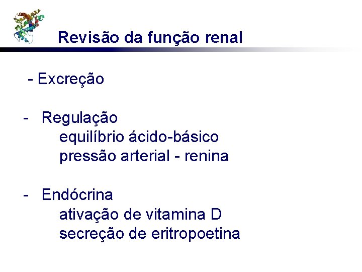 Revisão da função renal - Excreção - Regulação equilíbrio ácido-básico pressão arterial - renina