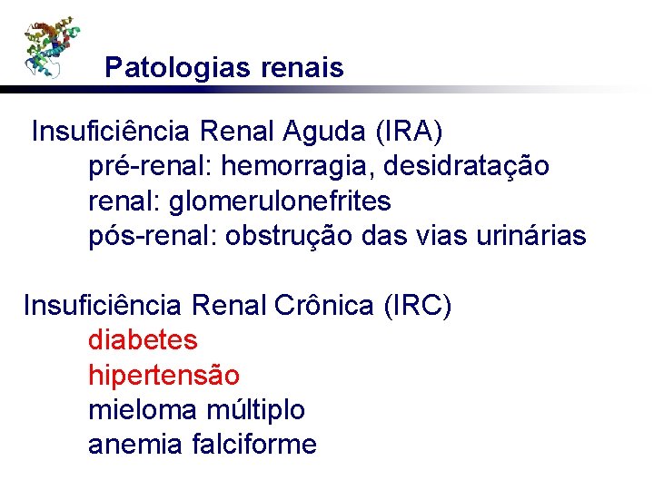 Patologias renais Insuficiência Renal Aguda (IRA) pré-renal: hemorragia, desidratação renal: glomerulonefrites pós-renal: obstrução das