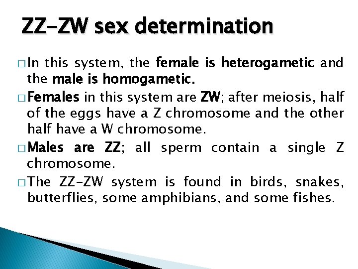 ZZ-ZW sex determination � In this system, the female is heterogametic and the male