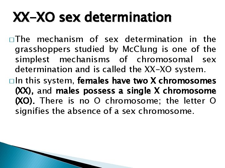 XX-XO sex determination � The mechanism of sex determination in the grasshoppers studied by