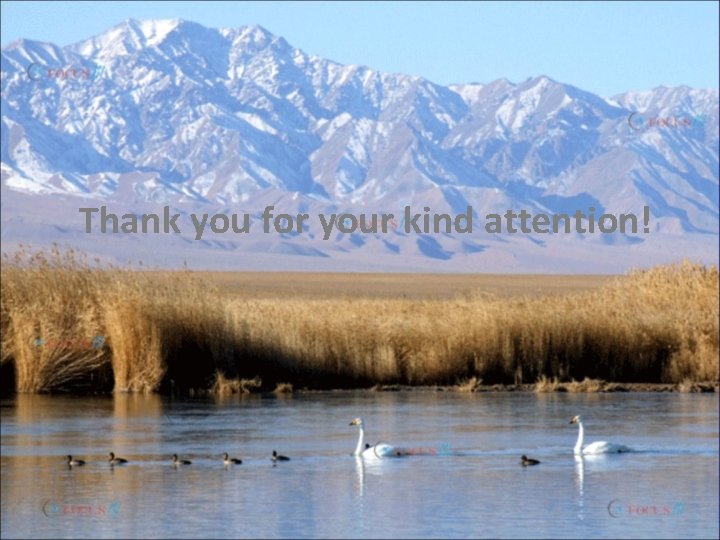 Thank you for your kind attention! 