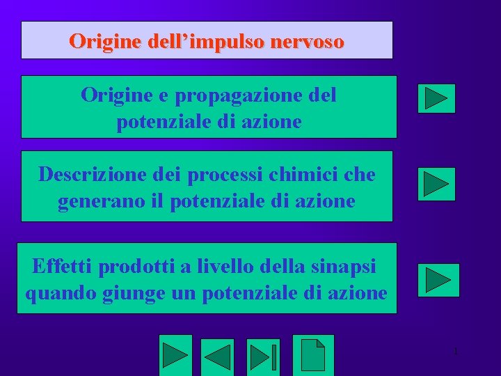 Origine dell’impulso nervoso Origine e propagazione del potenziale di azione Descrizione dei processi chimici