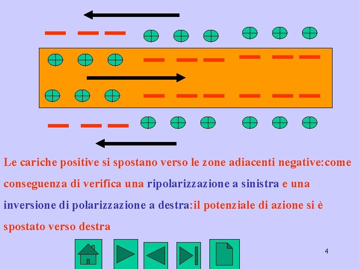 Le cariche positive si spostano verso le zone adiacenti negative: come conseguenza di verifica