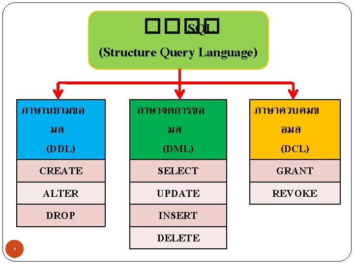 ���� SQL (Structure Query Language) ภาษานยามขอ มล (DDL) CREATE ALTER DROP 4 ภาษาจดการขอ มล