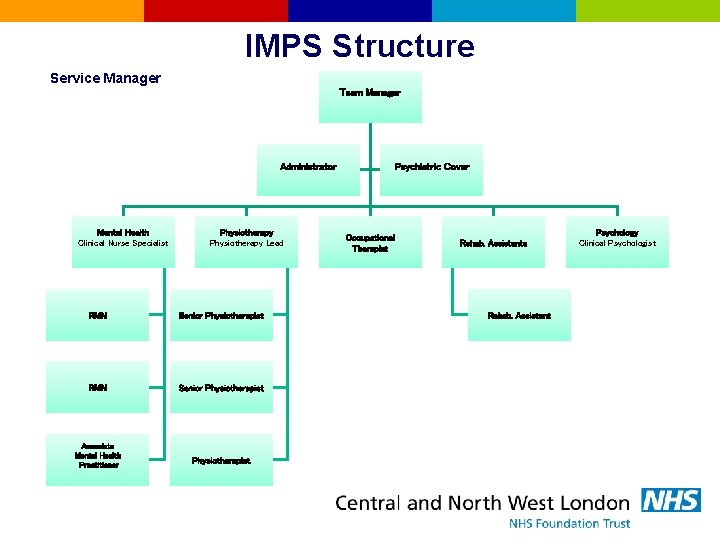 IMPS Structure Service Manager Team Manager Administrator Mental Health Clinical Nurse Specialist Physiotherapy Lead