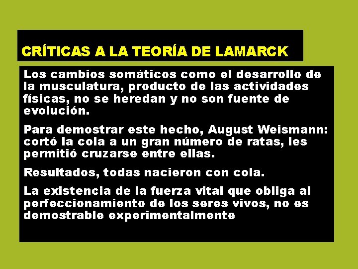 CRÍTICAS A LA TEORÍA DE LAMARCK Los cambios somáticos como el desarrollo de la CRÍTICAS A LA TEORÍA DE LAMARCK Los cambios somáticos como el desarrollo de la