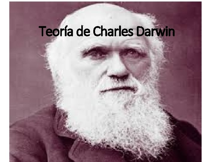 Teoría de Charles Darwin Teoría de Charles Darwin