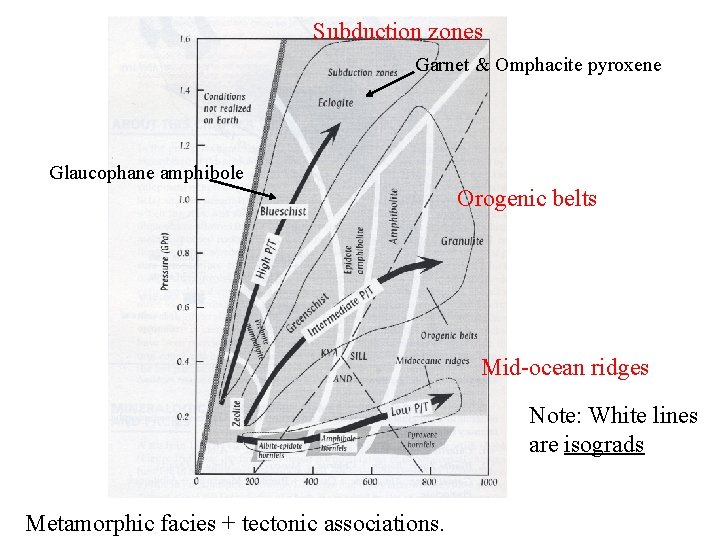 Subduction zones Garnet & Omphacite pyroxene Glaucophane amphibole Orogenic belts Mid-ocean ridges Note: White